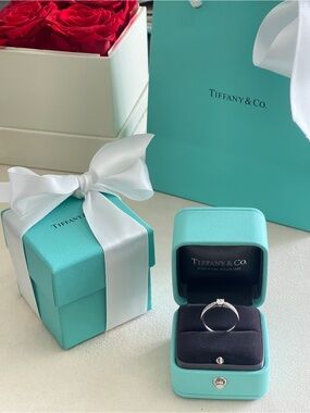 Tiffany & Co. Harmony Diamond Engagement Ring Platinum .20ct D/VVS2 Sz 5